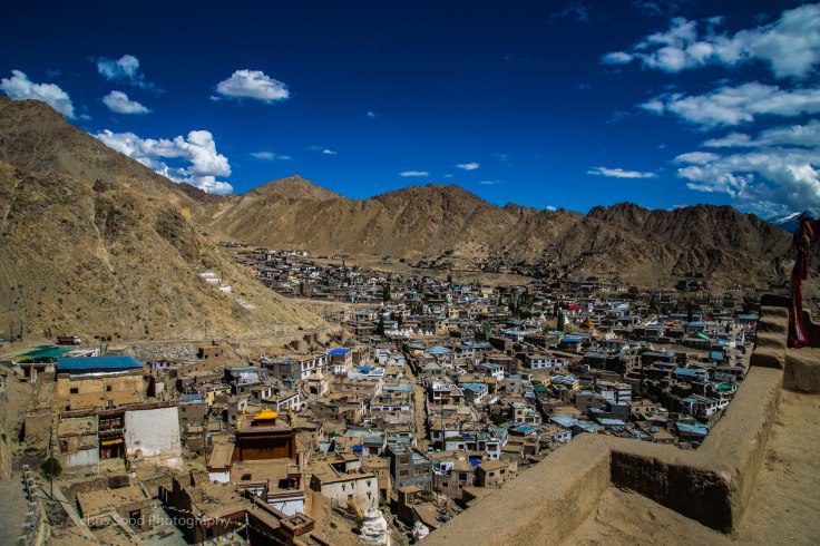 Leh_day_1 (1 of 1)-36