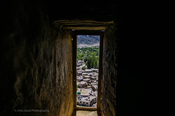 Leh_day_1 (1 of 1)-43