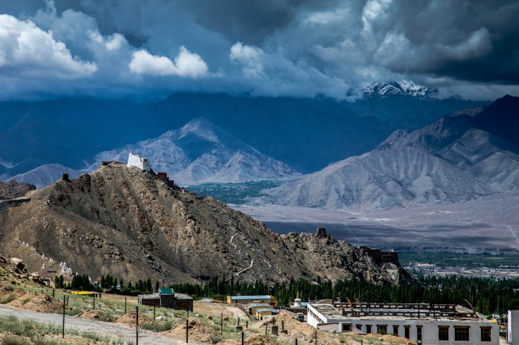 Leh_day_1 (1 of 1)-50