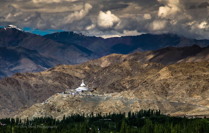 Leh_day_1 (1 of 1)-51