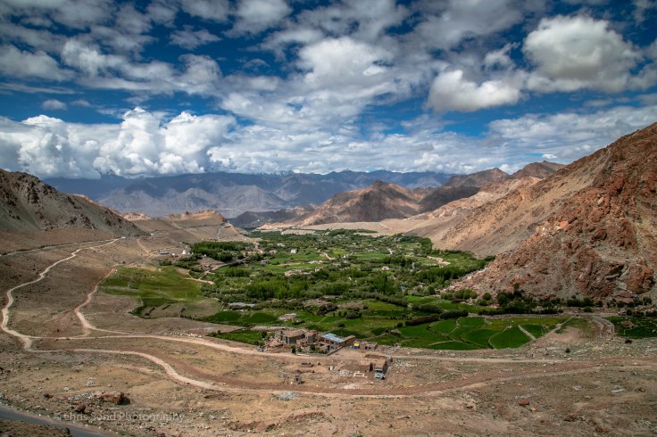 Leh_day_1 (1 of 1)-52