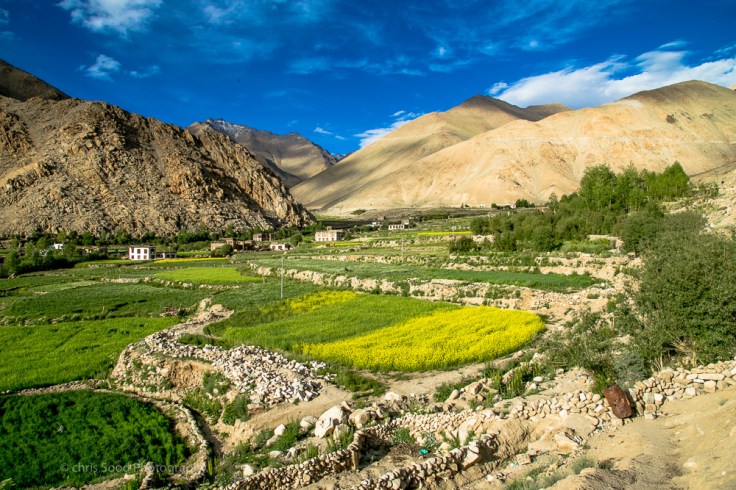 Leh_day_2 (1 of 1)-121.jpg