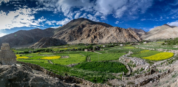 Leh_day_2 (1 of 1)-123.jpg