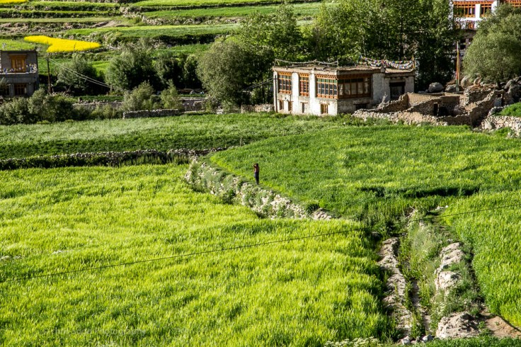 Leh_day_2 (1 of 1)-124.jpg