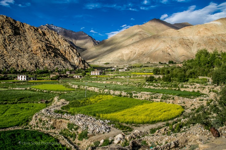 Leh_day_2 (1 of 1)-125.jpg