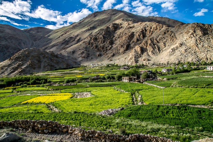 Leh_day_2 (1 of 1)-126.jpg