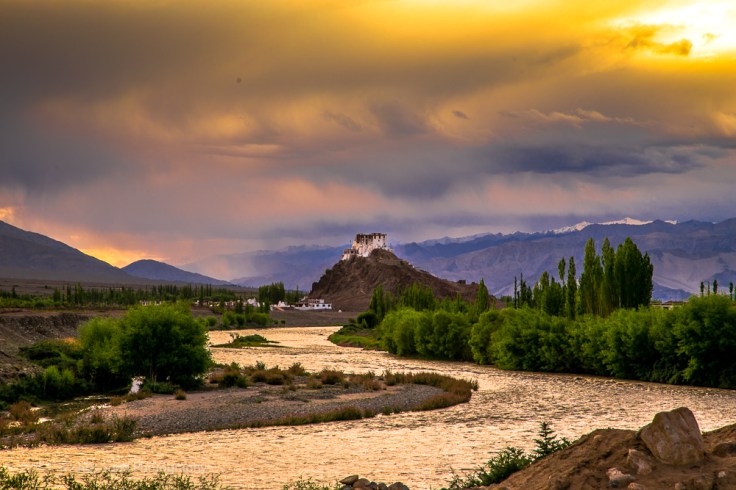 Leh_day_2 (1 of 1)-127.jpg