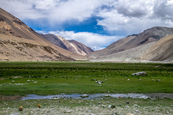 Leh_day_2 (1 of 1)-26.jpg
