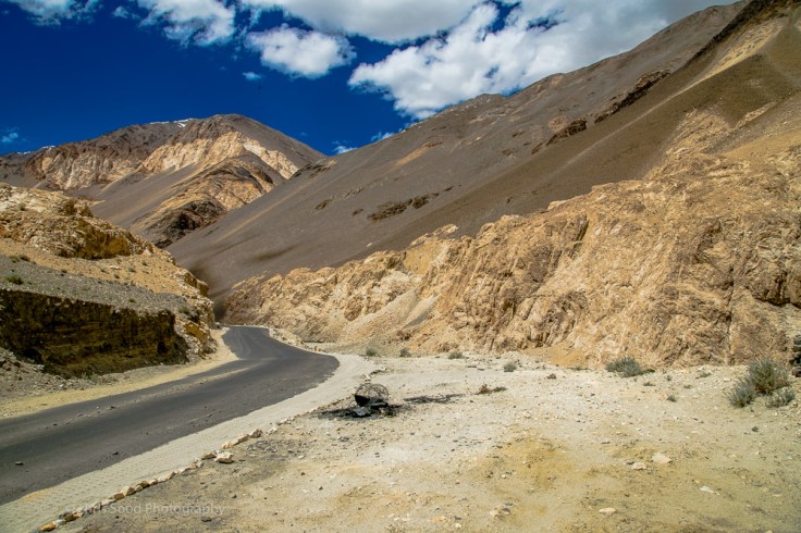 Leh_day_2 (1 of 1)-73.jpg