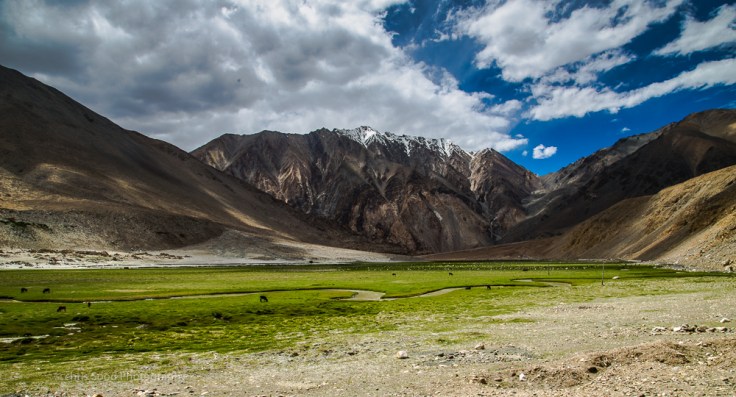Leh_day_2 (1 of 1)-88.jpg
