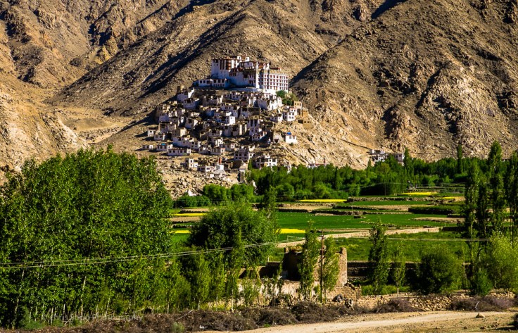 Leh_day_2 (1 of 1).jpg