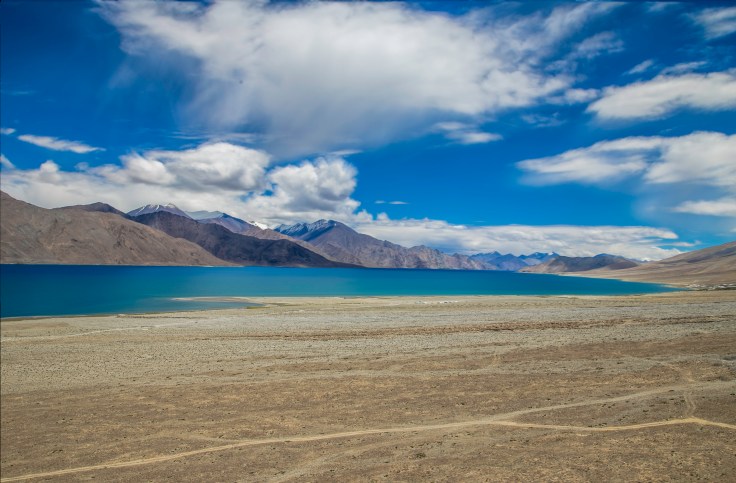 untitled (187 of 1580).jpg