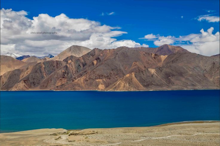 Wlehuntitled (208 of 1580).jpg