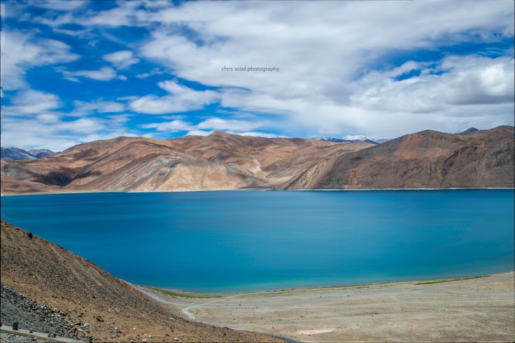 WWWWuntitled (238 of 1580) copy.jpg