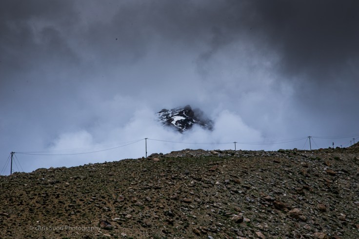 Day3 Nubra (1 of 1)-11.jpg