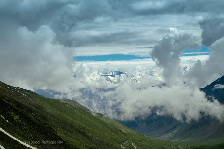 Day3 Nubra (1 of 1)-113.jpg