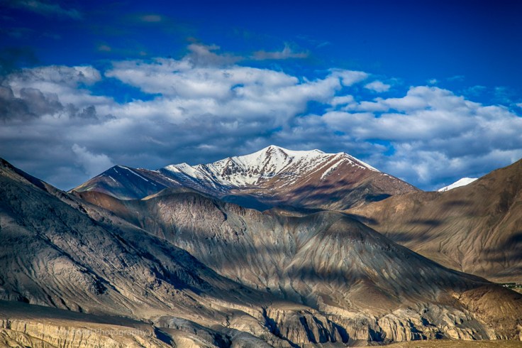 Day3 Nubra (1 of 1)-123.jpg