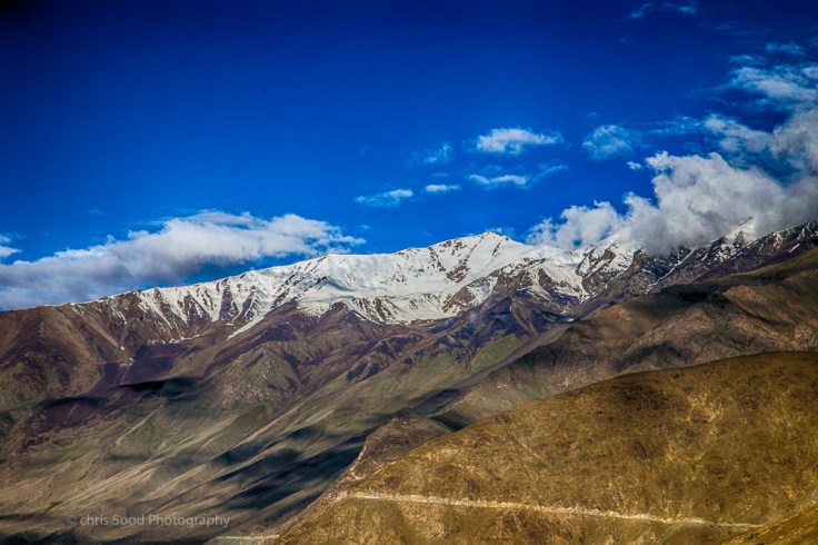 Day3 Nubra (1 of 1)-124.jpg
