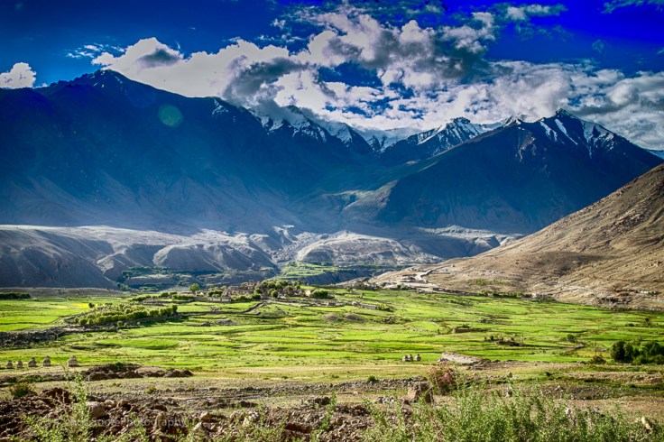 Day3 Nubra (1 of 1)-125.jpg