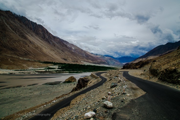 Day3 Nubra (1 of 1)-18.jpg
