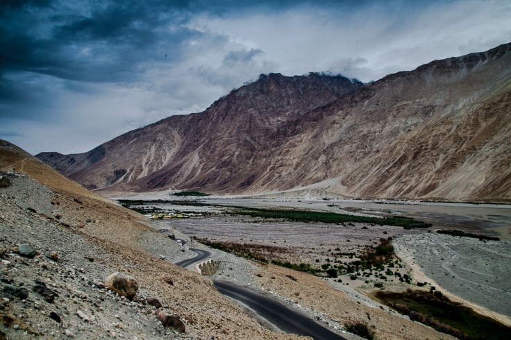 Day3 Nubra (1 of 1)-19.jpg