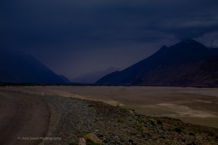 Day3 Nubra (1 of 1)-27.jpg