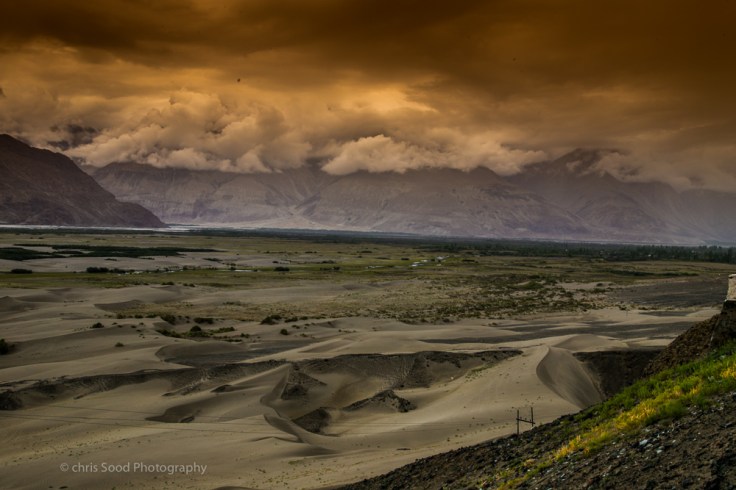 Day3 Nubra (1 of 1)-32.jpg