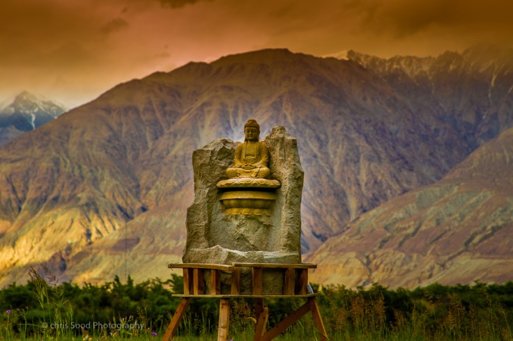 Day3 Nubra (1 of 1)-55.jpg