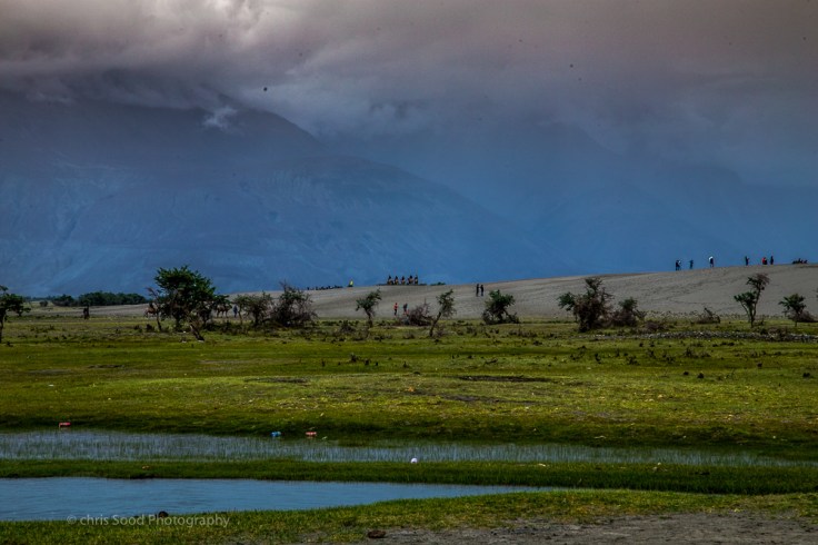 Day3 Nubra (1 of 1)-64.jpg