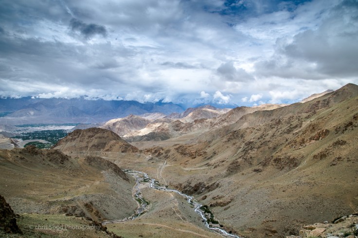 Day3 Nubra (1 of 1)-7.jpg