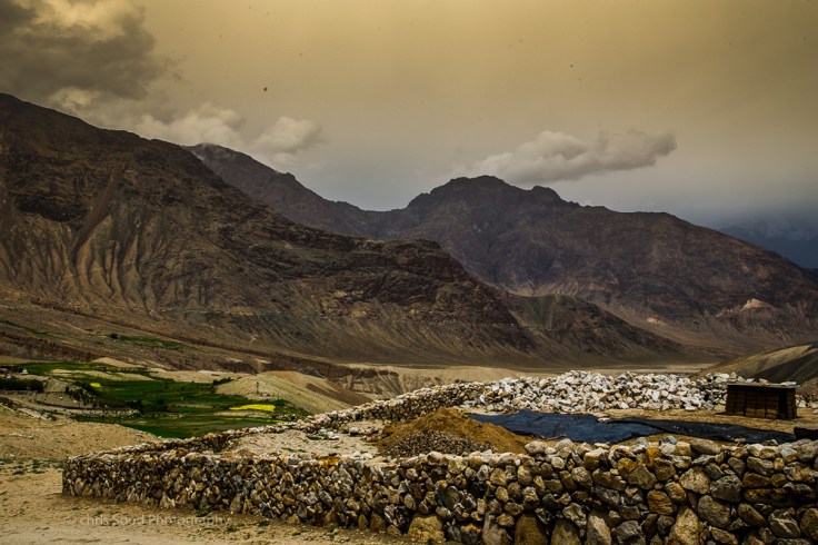 Day3 Nubra (1 of 1)-92.jpg