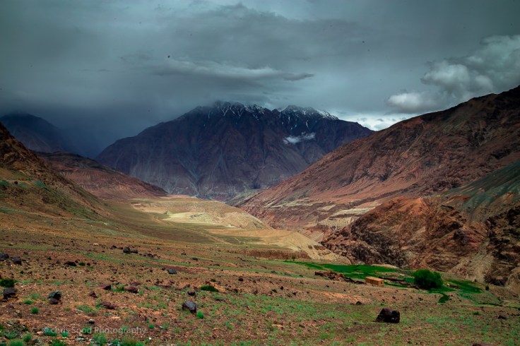 Day3 Nubra (1 of 1)-93.jpg