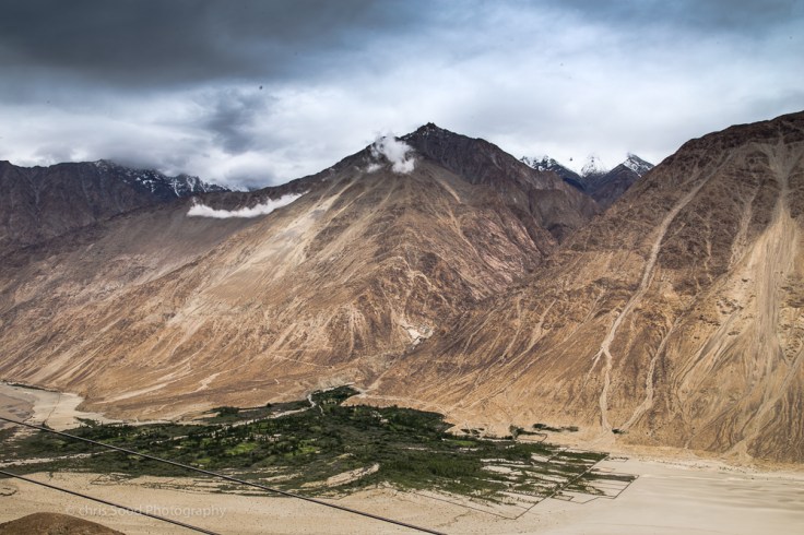 Day3 Nubra (1 of 1)-97.jpg