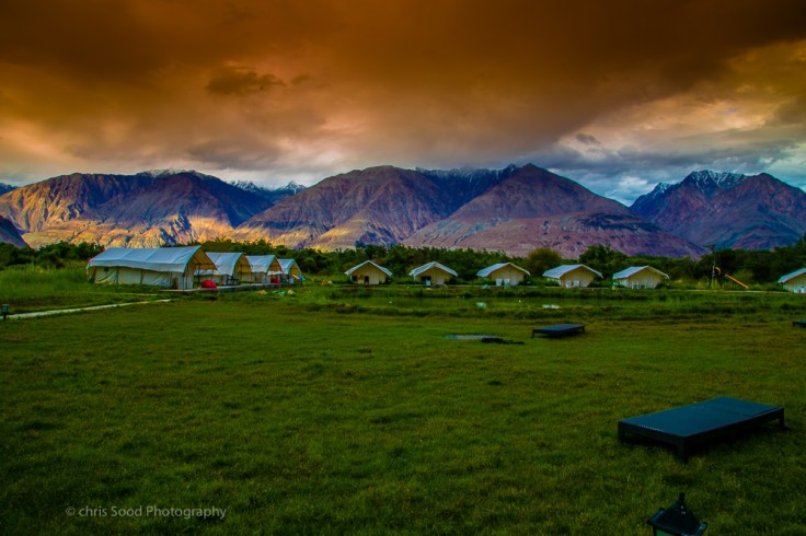  2Nubra (1 of 1)-78.jpg