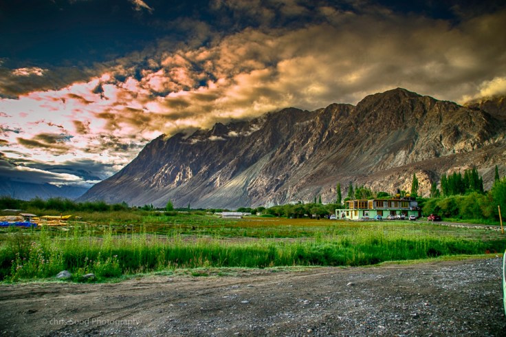  Nubra (1 of 1)-33.jpg