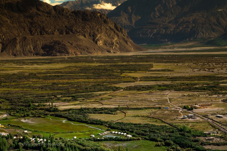  Nubra (1 of 1)-37.jpg