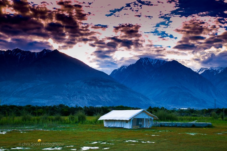  Nubra (1 of 1)-48.jpg