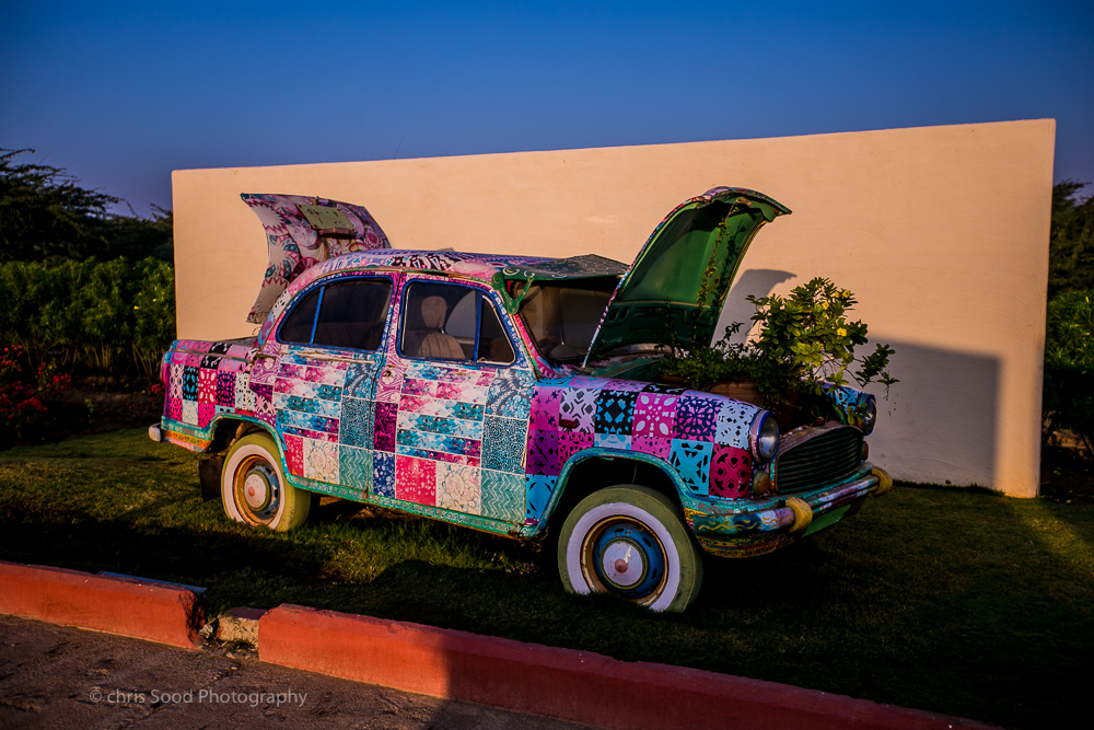  2Nubra (1 of 1)-20.jpg