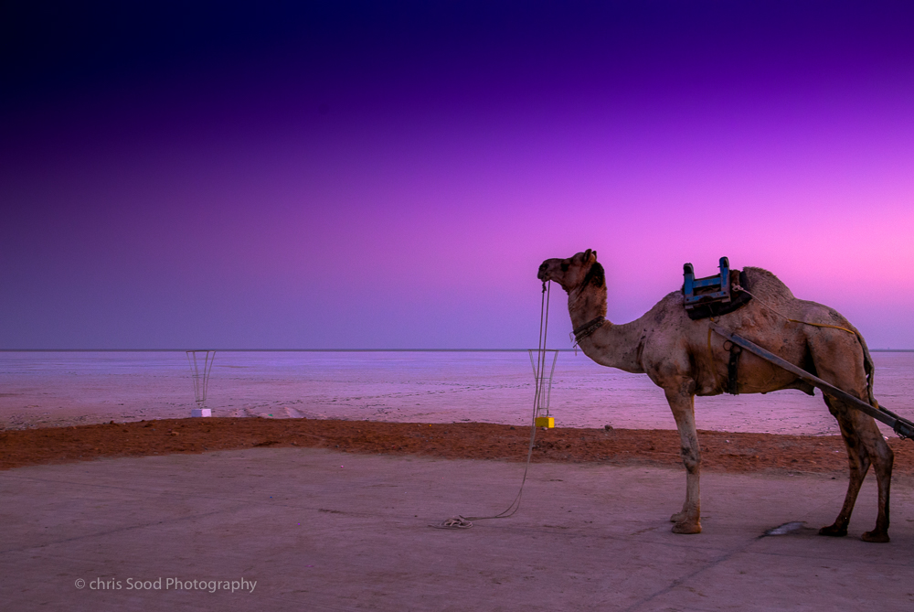  2Nubra (1 of 1)-32.jpg