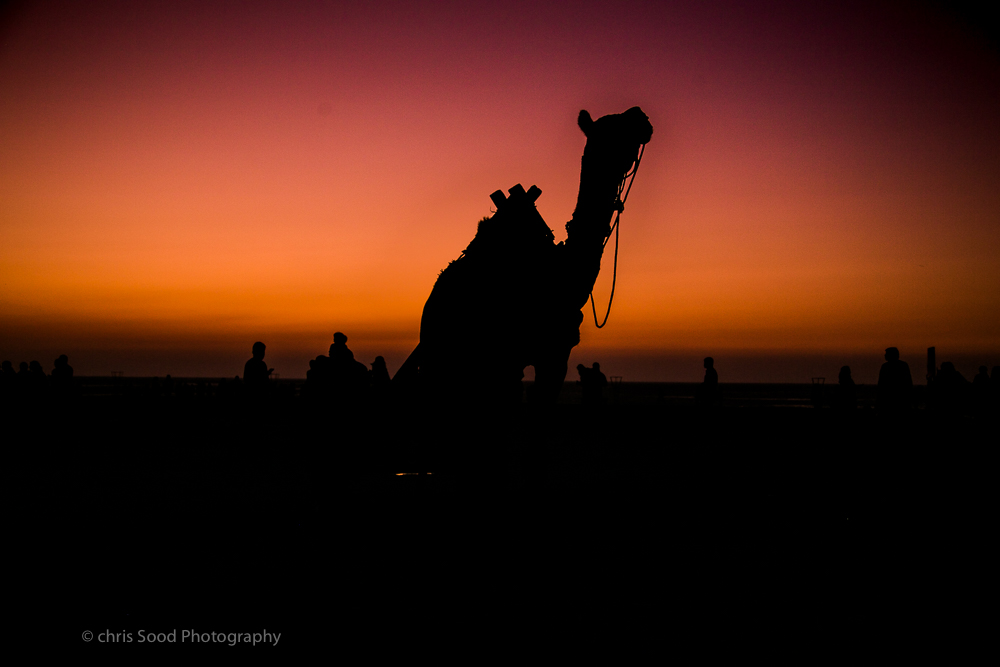  2Nubra (1 of 1)-35.jpg