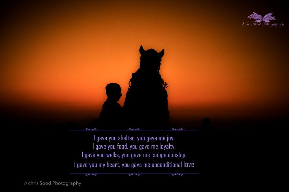  2Nubra (1 of 1)-36.jpg