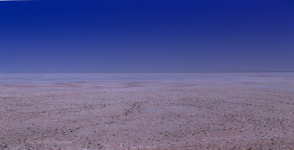 rann (1 of 1)-8.jpg