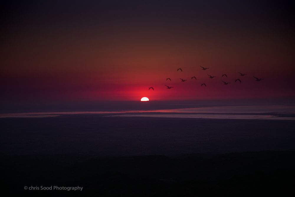 WWW2Nubra (1 of 1)-59 copy