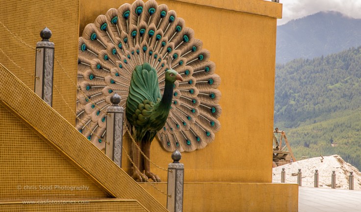 Bhutan Blog  (1 of 1)-36.jpg