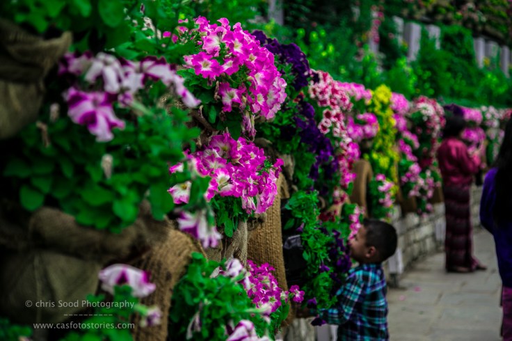 Bhutan Blog  (1 of 1)-48.jpg