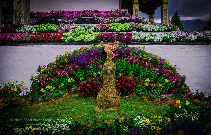 Bhutan Blog  (1 of 1)-51.jpg