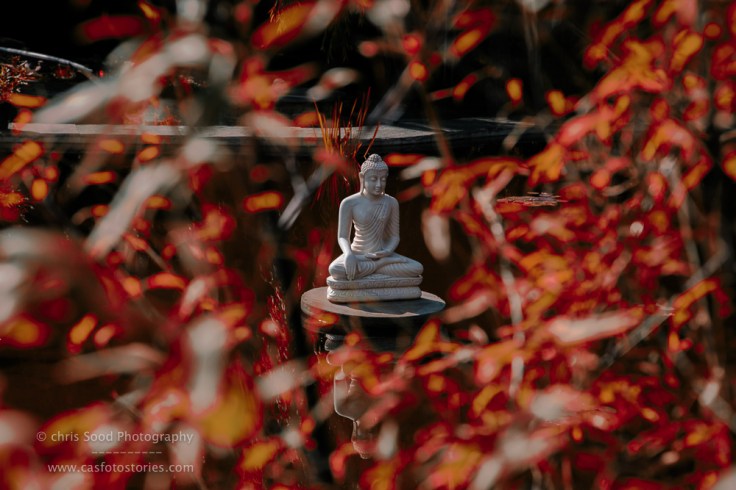 Bhutan Blog  (1 of 1)-94.jpg