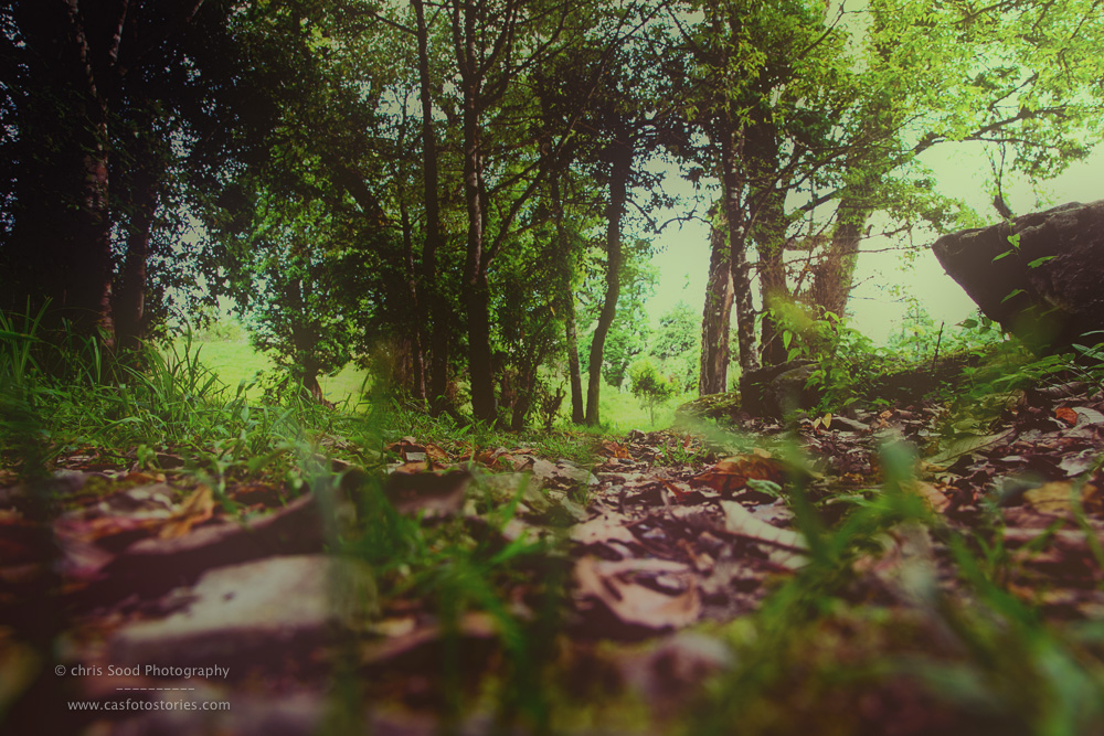 Punakha Blog  (1 of 1)-148.jpg