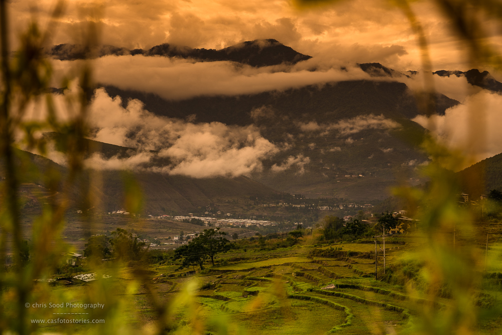Punakha Blog  (1 of 1)-156.jpg