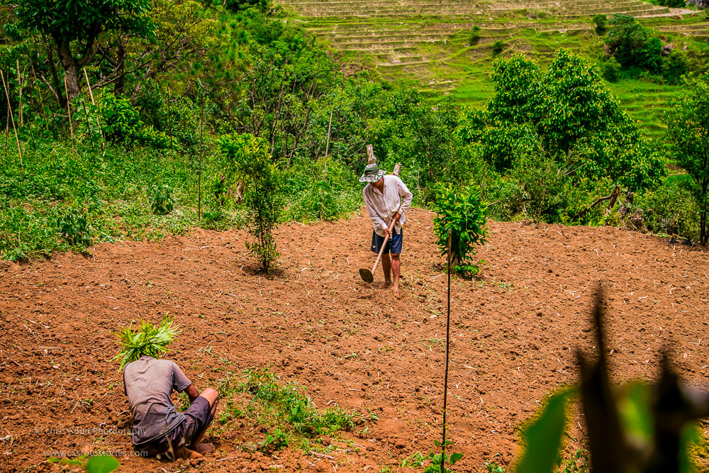 Punakha Blog  (1 of 1)-157.jpg